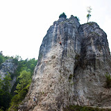 pic14.jpg