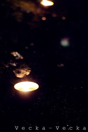IMG_2997 IMG_2997