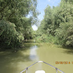 IMG_5762.JPG