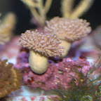 DSC_2144.jpg