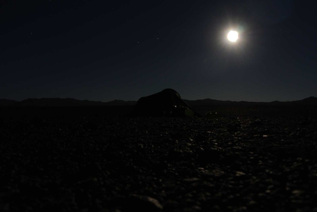 [DSC_78763.jpg]