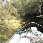 DSCN2968.JPG