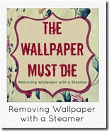 removing wallpaper removing wallpaper