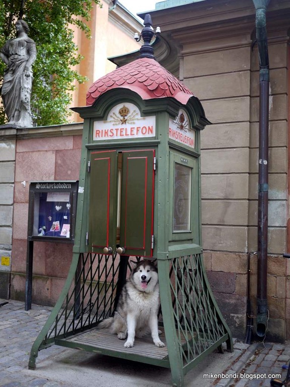 [Sedish%2520TARDIS%255B5%255D.jpg]