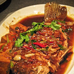 IMG_6637.jpg