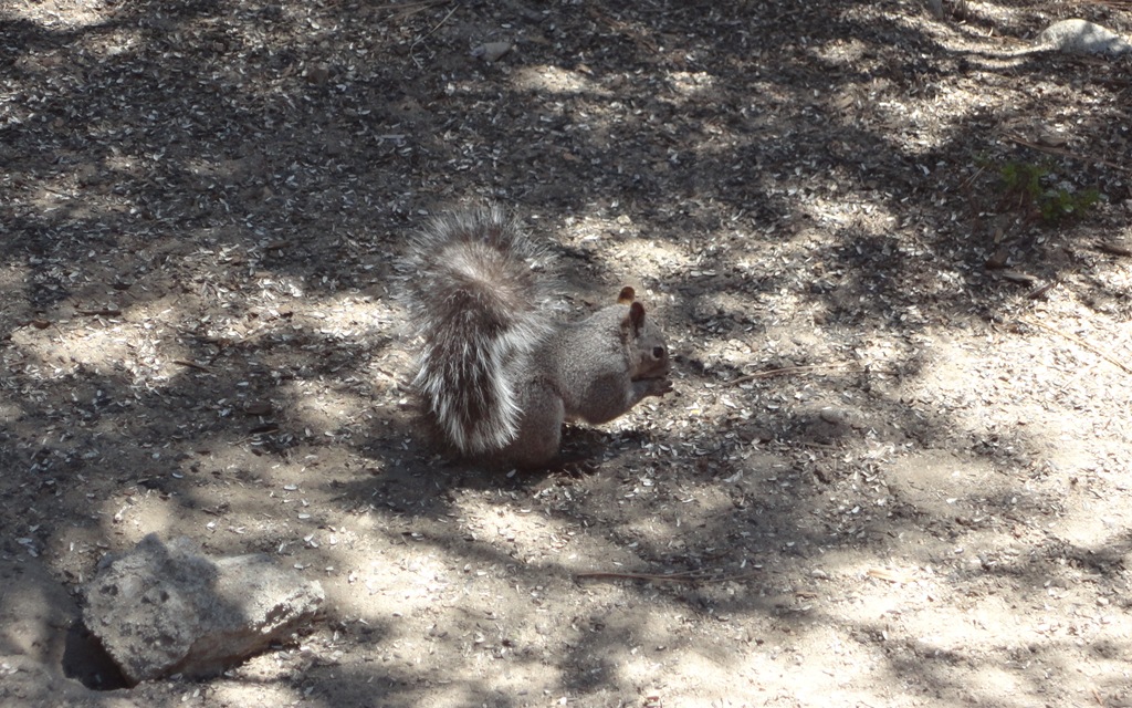 [Idyllwild%2520Camping%2520121A%255B5%255D.jpg]