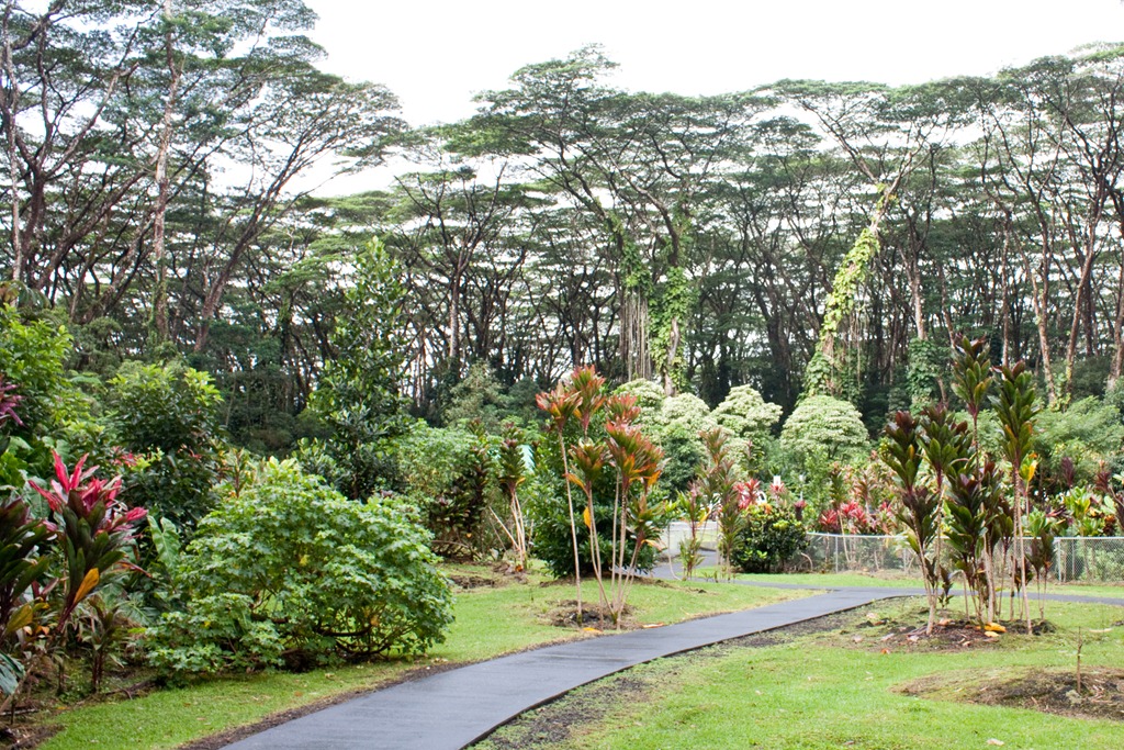 [20121214-IMG_3011%255B4%255D.jpg]