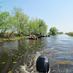 IMG_7207.JPG