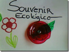 souvenir_ecologico (10)