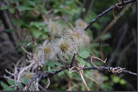 DSC_0028 DSC_0028