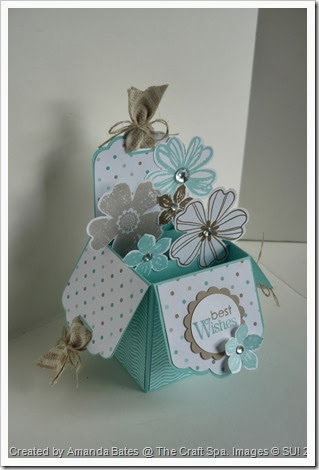 Tag Topper Punch Box Card by Amanda Bates @ The Craft Spa 009 Tag Topper Punch Box Card by Amanda Bates @ The Craft Spa 009