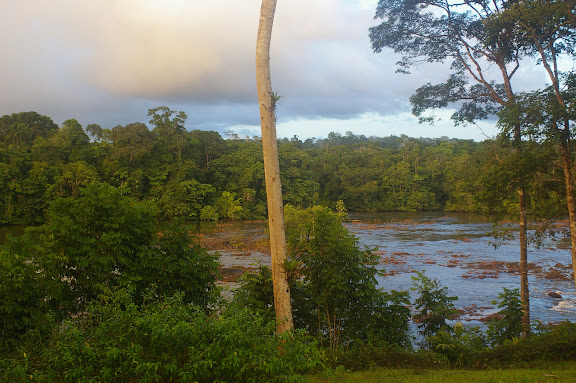 Après la pluie sur Saut Athanase (Guyane). 20 novembre 2011. Photo : J.-M. Gayman