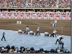 9558 Alberta Calgary Stampede 100th Anniversary - GMC Rangeland Derby & Grandstand Show - intermission kids 'Chuckwagon Race'