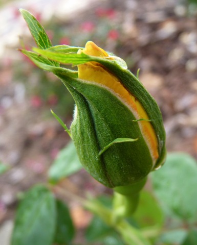 [P11106353.jpg]