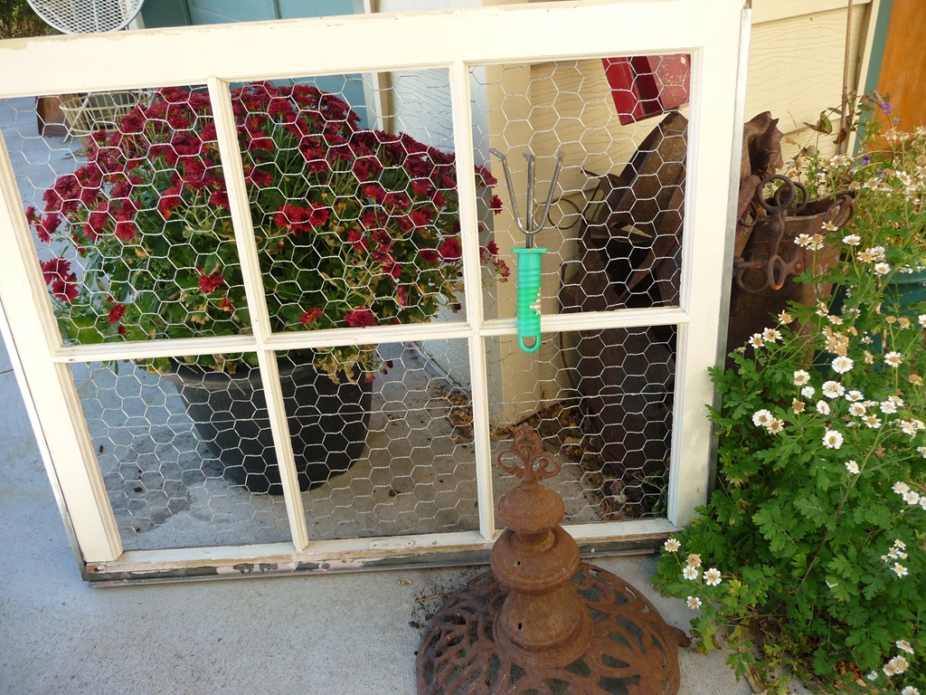 [window-0044.jpg]