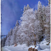 Bavière : Lac Spitzingsee en hiver