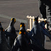 hokkaido_344.jpg