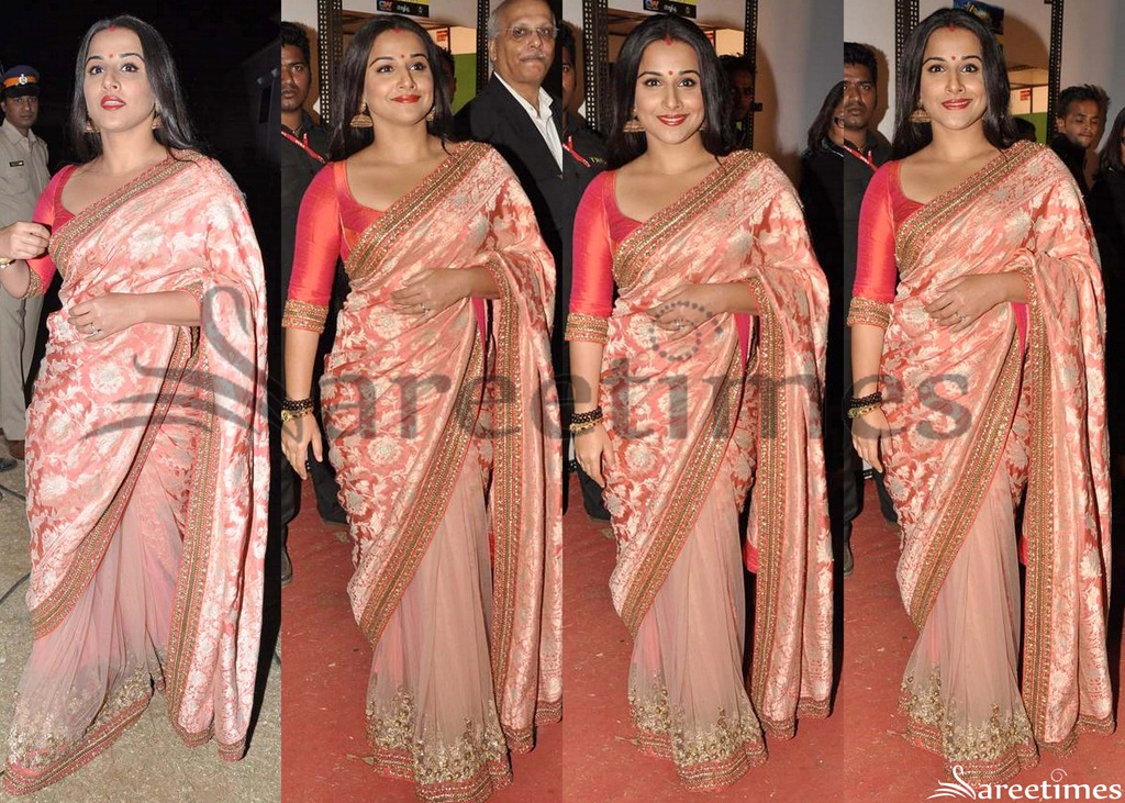 [Vidya_Balan_Pink_Saree%255B4%255D.jpg]