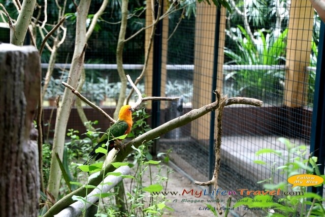 Langkawi Wildlife Park Langkawi Wildlife Park