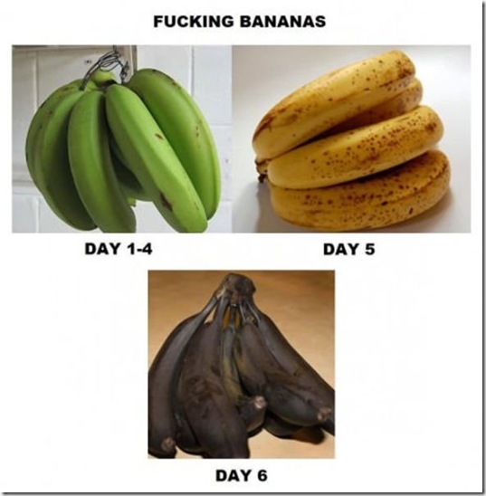 viral-picdump-pics-1cbce4