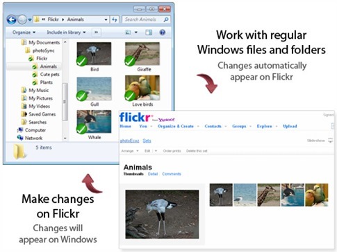 Cómo sincronizar mis fotos de Flickr en Windows 8