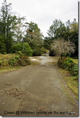 Creek @ Witteren sticks on Rd. Show how High it came up _IGP3357