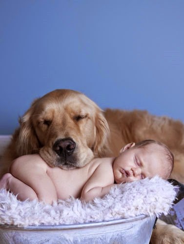 [bebe-chicos-perro-mascotas-getty_MUJIMA20140109_0032_30%255B3%255D.jpg]