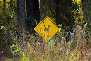 Kleb Woods Sign Kleb Woods Sign