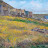 Cill Rialaig artist retreat
50 x 70cm.
Oil on canvas.
250 Euros.
