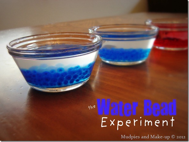 The Water Bead Experiment The Water Bead Experiment
