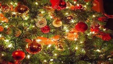 árvore de natal árvore de natal