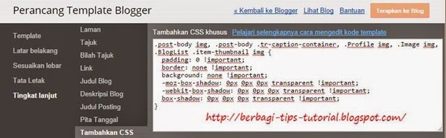 Kode CSS Menghilangkan Border