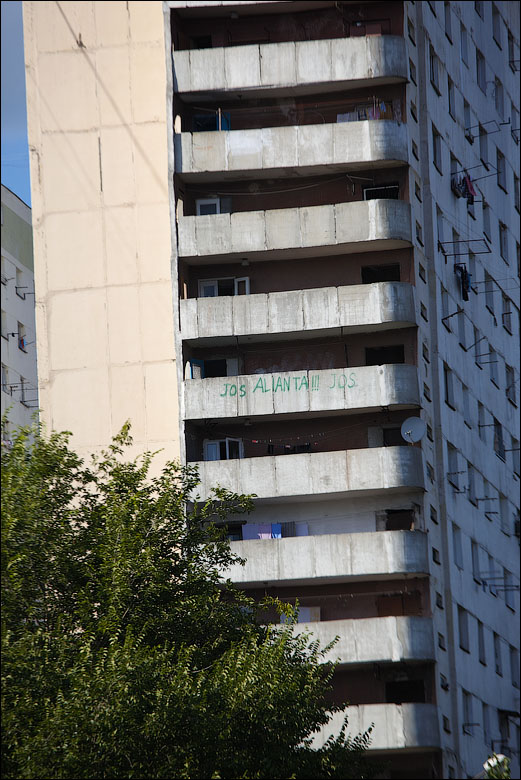 IMG_4204.jpg