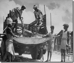 Men unloading corpses fr. truck in preparation for cremation after bloody rioting between Hindus and Muslims