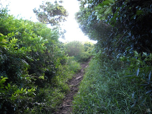 DSCN2977_2 DSCN2977_2