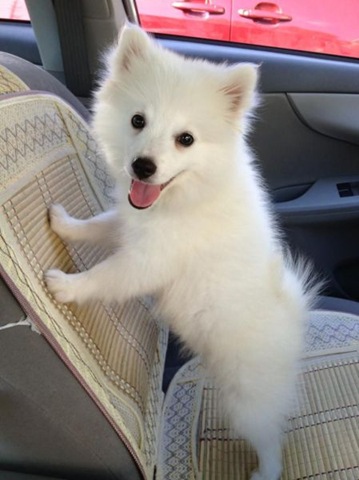 [funny-animals-cute-6%255B2%255D.jpg]