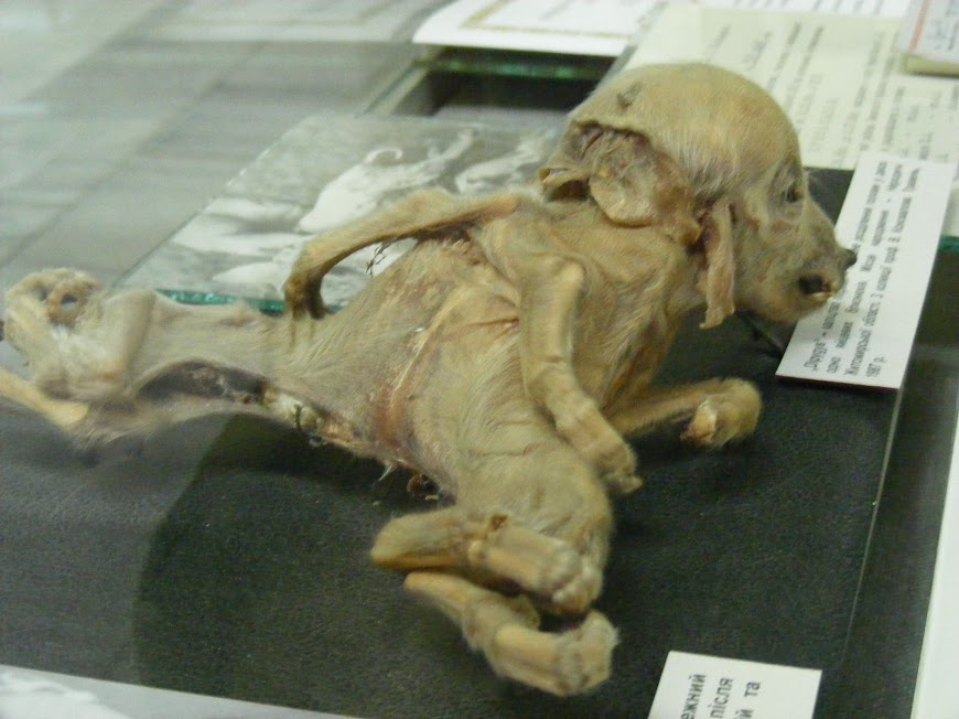 DSCF4015.JPG