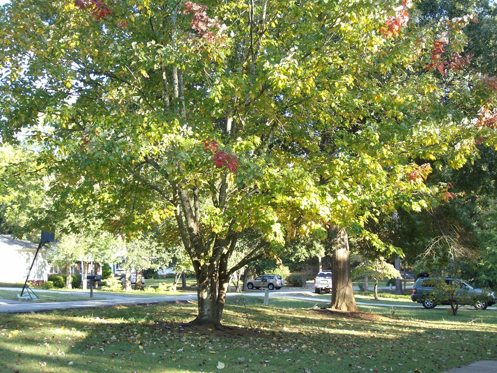 [oct-2011-0093.jpg]