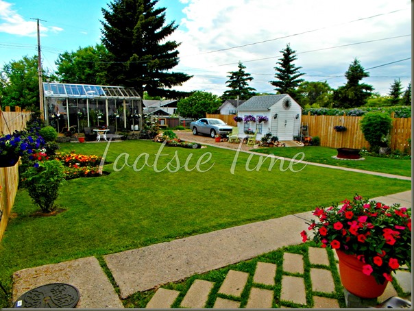 BeFunky_157.jpg BeFunky_157.jpg