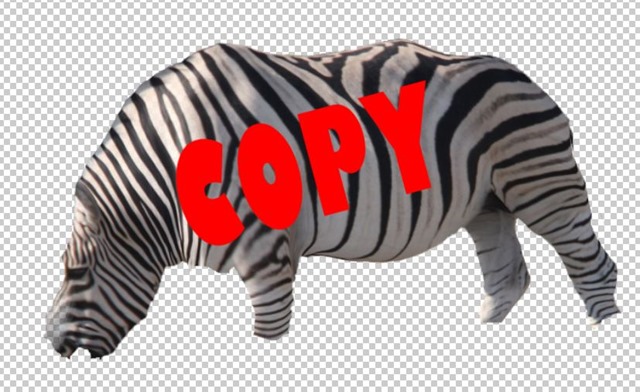 [Zebra-cut%255B4%255D.jpg]