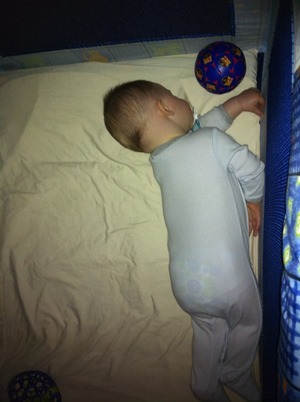 IMG_1458_thumb[3]