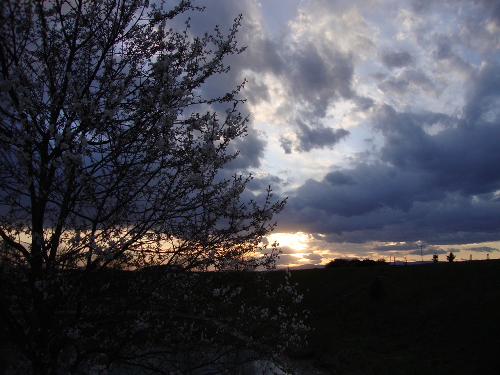 [LSFbyAnita%2520998%255B2%255D.jpg]