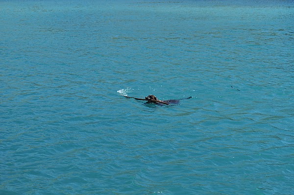 DSC_0741.JPG DSC_0741.JPG