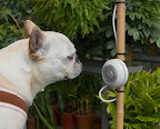 Francesca, the thermostat seems to be set to an acceptable temperature.