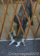 IMG_0757 IMG_0757