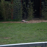 Cub Pack Holiday - Skreens Park 2012 - DSC_0161.jpg