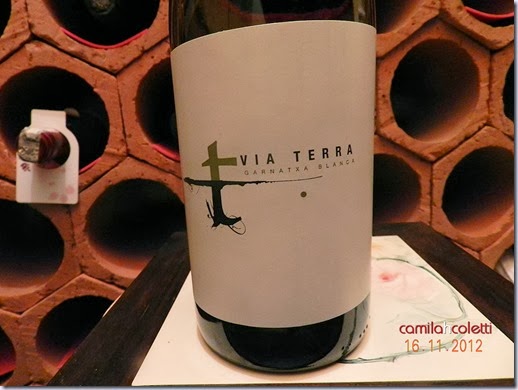 vinho-via-terra-vinho-e-delicias