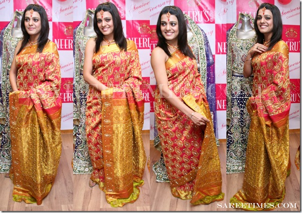 Tashu_Kaushik_Designer_Saree