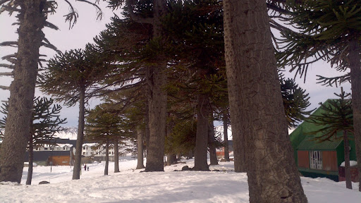 paisajes invierno 2011