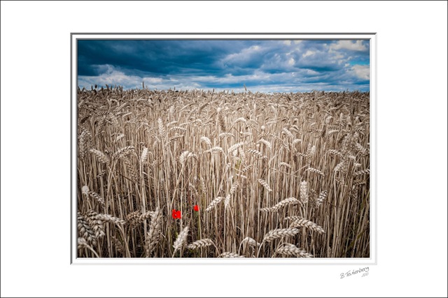 [P1300424A13x10H4x3DoubleMat3.jpg]